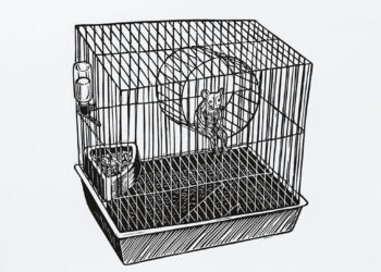 Gravura: Eu Hamster (Maurício Castro)