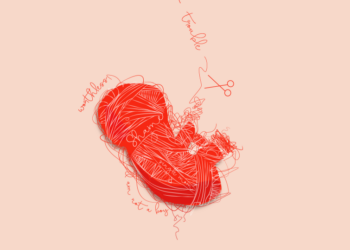 a falacia dos numeros de abortos na argentina