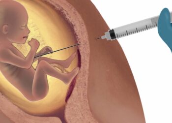 Relação entre a descriminalização do aborto e doenças sexualmente transmissíveis